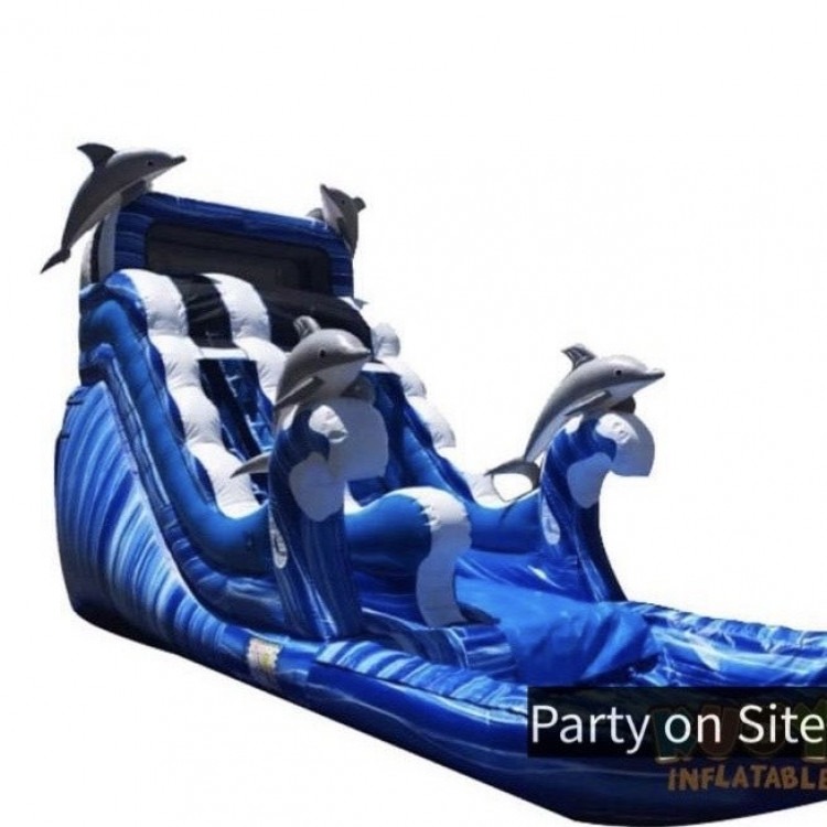 18 ft Dolphin Kids Water Slide